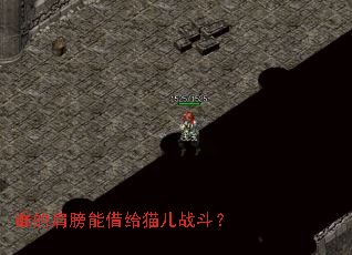 ˭�ļ���ܽ��è��ս����