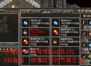 С����-��������DJս��2025�����棺ȼ��ս���Ľ���֮�գ�