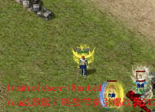 InaWroldsen-IWantedYouս��棿�˹Ľ�������ս��2025