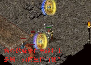 �������ȸ�ڵ��߸��϶��죬�����ʰ���ң�