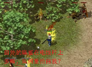 �������ȸ�ڵ��߸��϶��죬�����ʰ���ң�