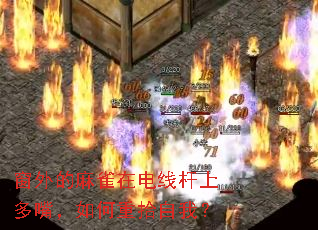 �������ȸ�ڵ��߸��϶��죬�����ʰ���ң�