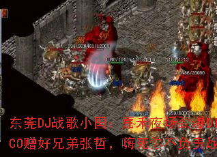 ��ݸDJս��С�����κ�ҹ������DISCO�����ֵ����ܣ������㲻����ս�裿