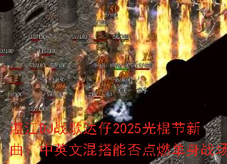 տ��DJս�����2025�������������Ӣ�Ļ���ܷ��ȼ����ս����