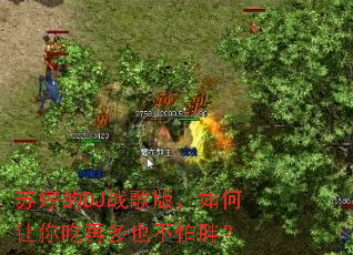 ���õ�DJս��棬���������ٶ�Ҳ�����֣�