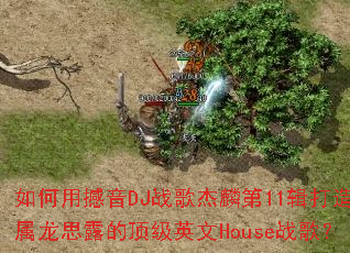 ����ú���DJս������11������ר����˼¶�Ķ���Ӣ��Houseս�裿