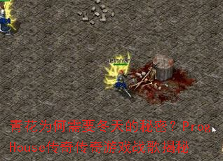 �໨Ϊ����Ҫ��������ܣ�ProgHouse���洫����Ϸս�����