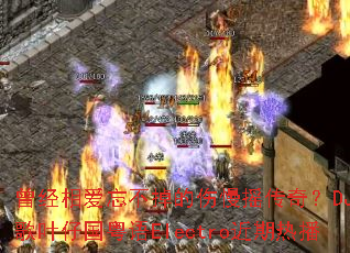 �����మ������������ҡ���棿DJս��Ҷ�й�����Electro�����Ȳ�