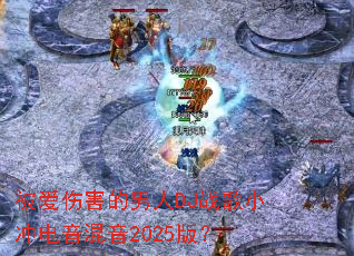 �����˺�������DJս��С���������2025�棿
