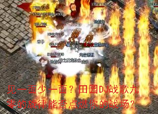 ��һ����һ�棿��԰DJս�����������ܷ��ȼ���ս����
