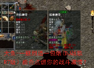 ����-һƿ�Ҿ�һ����(DJս��R7�棩�ܷ��ȼ���ս�����飿
