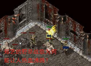 郑艺的野草战歌为何能让人热血沸腾? 郑艺的野草战歌为何能让人热血沸腾?