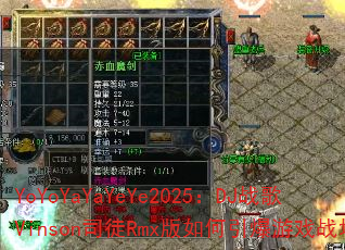 YoYoYaYaYeYe2025��DJս��Vinson˾ͽRmx�����������Ϸս����