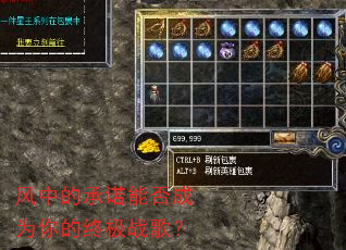 ���еĳ�ŵ�ܷ��Ϊ����ռ�ս�裿