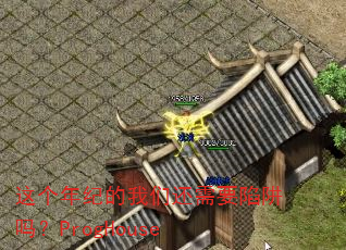 �����͵����ǻ���Ҫ������ProgHouse
