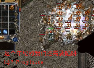 �����͵����ǻ���Ҫ������ProgHouse