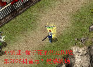 小情迷-栀子花的约定DJ战歌2025抖音版?燃爆战场 小情迷-栀子花的约定DJ战歌2025抖音版?燃爆战场