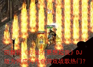 ����硶��Ͳ�Ҫ�����ҡ�DJ��Ϊ�γ�Ϊ������Ϸս�����ţ�