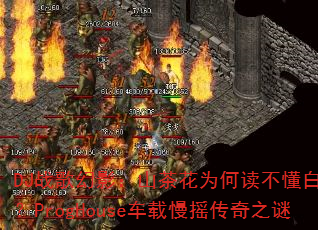 DJ战歌幻影:山茶花为何读不懂白玫瑰?ProgHouse车载慢摇传奇之谜 DJ战歌幻影:山茶花为何读不懂白玫瑰?ProgHouse车载慢摇传奇之谜