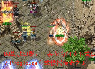 DJ战歌幻影:山茶花为何读不懂白玫瑰?ProgHouse车载慢摇传奇之谜 DJ战歌幻影:山茶花为何读不懂白玫瑰?ProgHouse车载慢摇传奇之谜