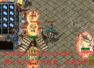 DJս��Ҷ�й���House��ѡ������û����ô��vs�����Ҳ���������˭�Ǵ�����Ϸ��ǿս�裿