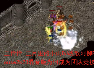 ��ǡǡ-�������С��DJս�谢��Funnyhouse2k23������Ϊ�γ�Ϊ�ŶӾ���������