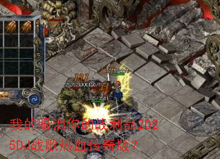 �ҵ��������ս��Ʒ2025DJս����Ѫ����棿