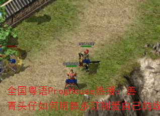ȫ������ProgHouse�Ȳ�������ͷ��������貽���ư��Լ���ս�裿
