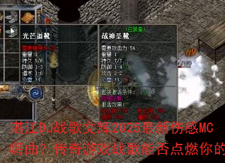 տ��DJս���Ļ�2025�����˸�MC������������Ϸս���ܷ��ȼ��Ķ�־