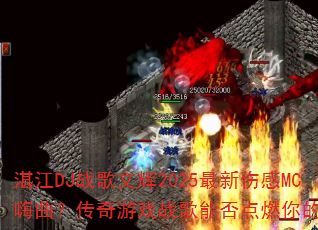 տ��DJս���Ļ�2025�����˸�MC������������Ϸս���ܷ��ȼ��Ķ�־