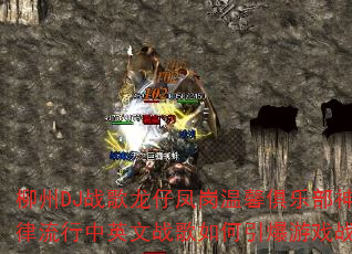 ����DJս�����з����ܰ���ֲ��������������Ӣ��ս�����������Ϸս����
