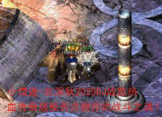小情迷-在深秋2025DJ战歌热血传奇版能否点燃你的战斗之魂? 小情迷-在深秋2025DJ战歌热血传奇版能否点燃你的战斗之魂?