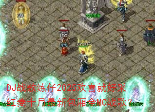 DJս������2025��ϲ�ͺòɺ���ʮ�����°���ȫMCս�裿