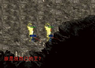 谁是我自己的王? 谁是我自己的王?