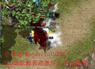 小情迷-WonderfulU2025DJ战歌能否点燃你的热血传奇? 小情迷-WonderfulU2025DJ战歌能否点燃你的热血传奇?