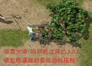 谁是大潦-陪你熬过苦的人DJ战歌默涵版的最佳游戏搭档? 谁是大潦-陪你熬过苦的人DJ战歌默涵版的最佳游戏搭档?
