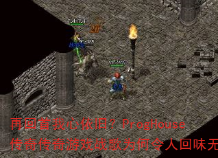 �ٻ����������ɣ�ProgHouse���洫����Ϸս��Ϊ�����˻�ζ����