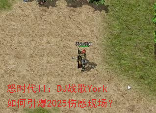 ŭʱ��II��DJս��York�������2025�˸��ֳ���